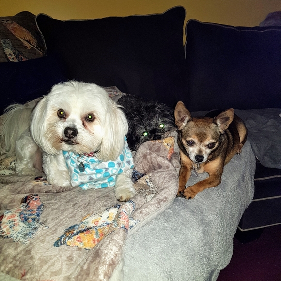 Meet your Posher, Beth - Picture 4 of 4